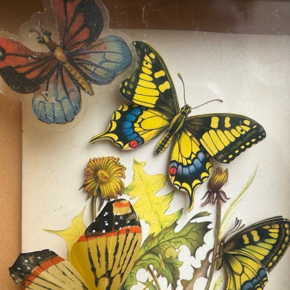 NFS - Picture 7 of 8